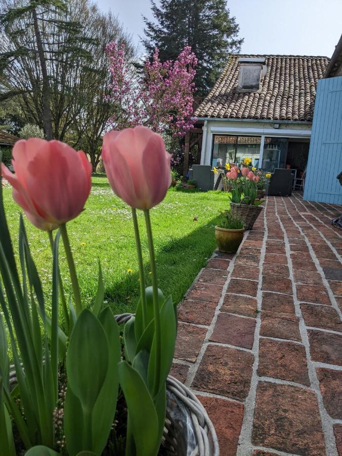 Domaine Du Tafiart Bed & Breakfast Sarron Exterior photo