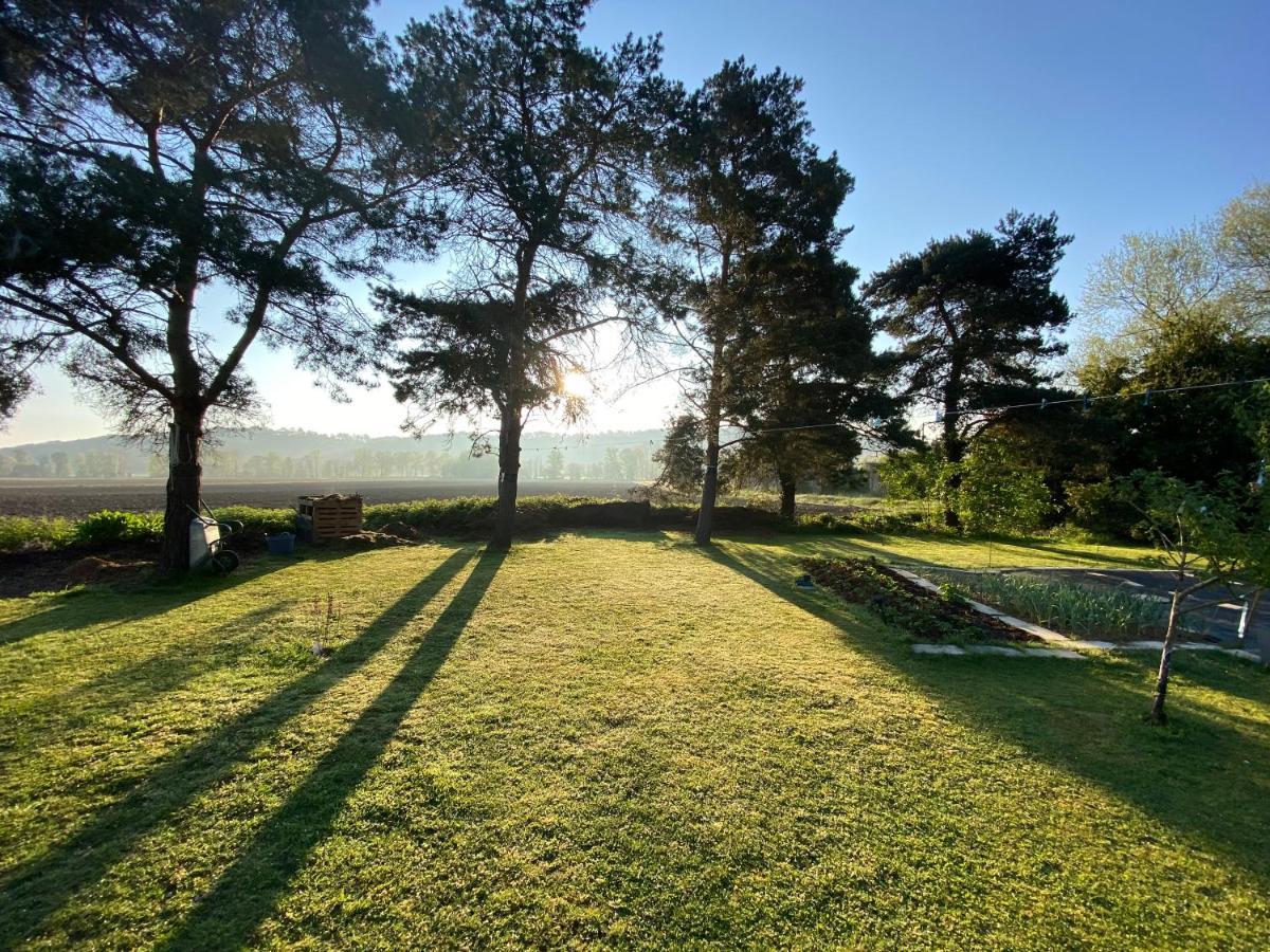 Domaine Du Tafiart Bed & Breakfast Sarron Exterior photo
